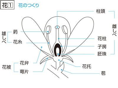 宅|宅（たく）とは？ 意味・読み方・使い方をわかりやすく解説